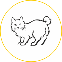Випускники